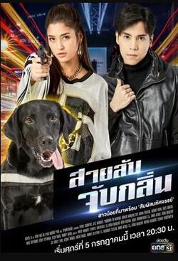 谍影追踪国语免费在线观看