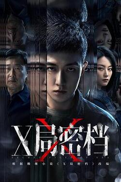 X局密档全集高清在线免费观看